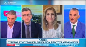 Ε. Λιακούλη στον ΣΚΑΪ: «Αδιαπραγμάτευτη η ενότητα στην ψυχή του ΠΑΣΟΚ»